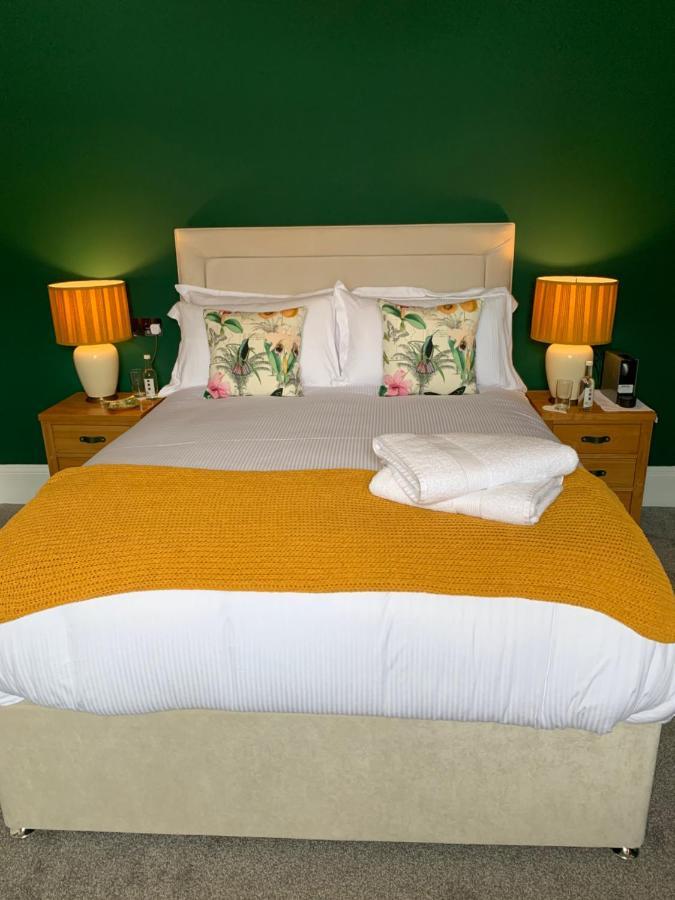 The Lazy Lion Bed and Breakfast Milford on Sea Eksteriør billede